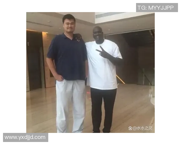 姚明NBA小弟的成长之路与奋斗历程揭秘